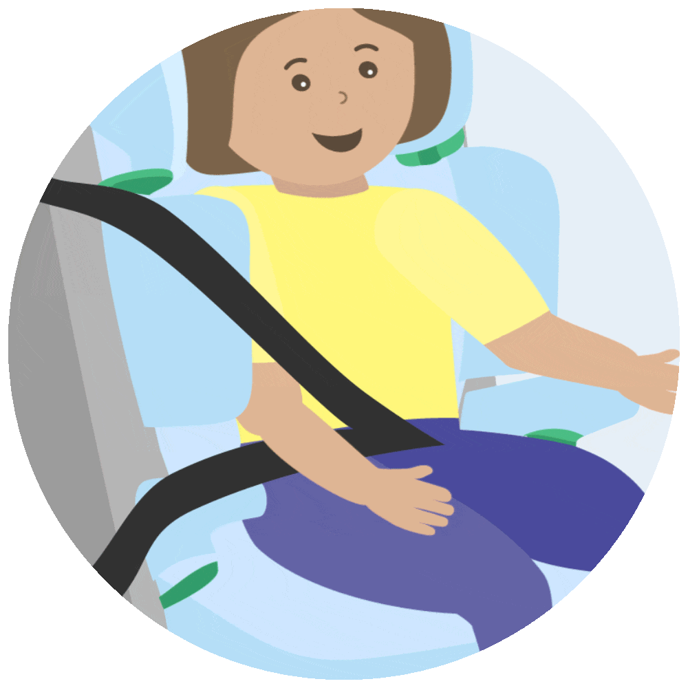 gordelgeleider autostoel